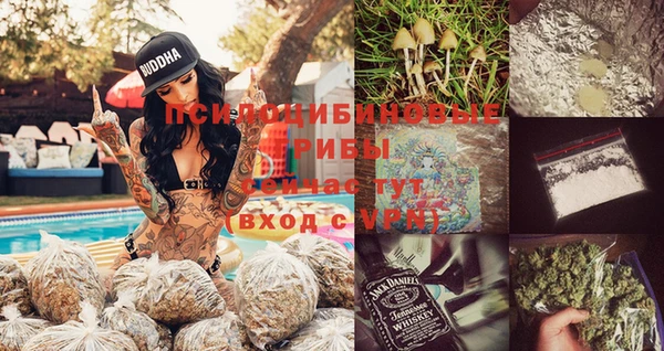 гидра Апатиты