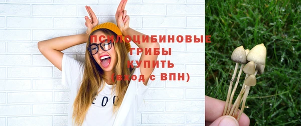 Альфа ПВП Михайлов