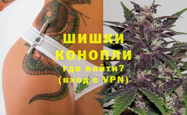 сатива Анива