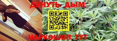 мяу мяу мука Аргун