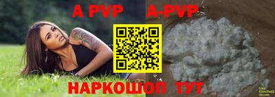 СК Аргун