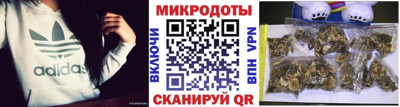 Галлюциногенные грибы MAGIC MUSHROOMS  цена   Белая Калитва 