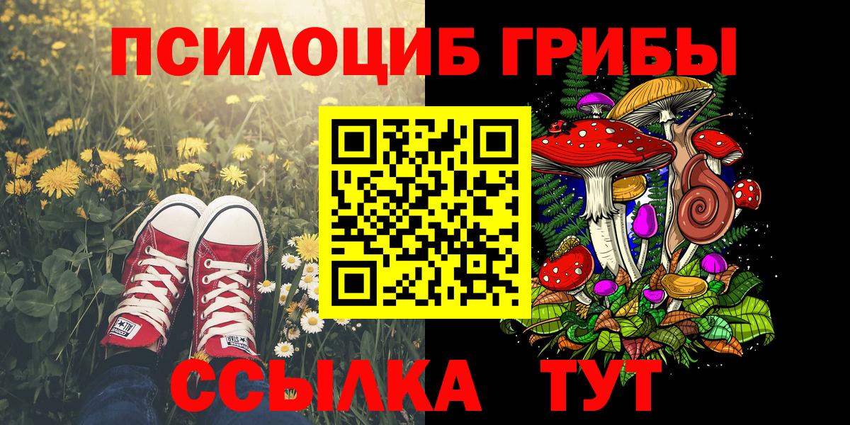 Псилоцибиновые грибы Psilocybine cubensis Белая Калитва