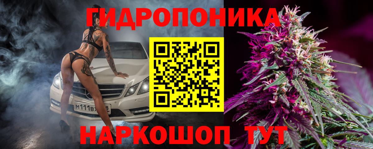 Бошки марихуана план  Вход с VPN  Шишки марихуана индика  Белая Калитва  Марихуана MAZAR  Каннабис MAZAR 